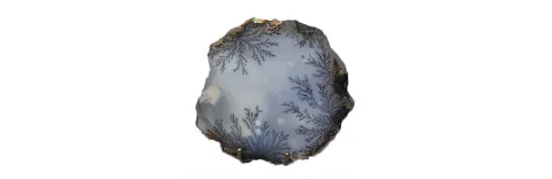 Дендро Opal