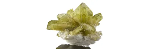 Brasilianer