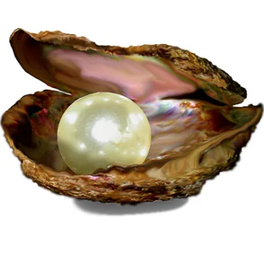 Perlen