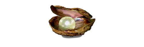 Perlen