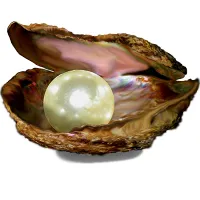 Perlen