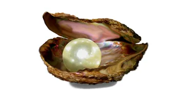 Perlen