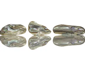 Paua Perlmutt
