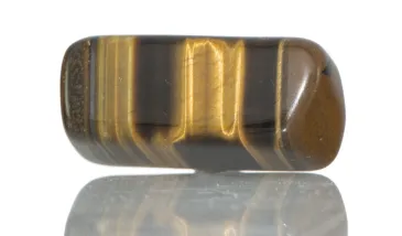 Tigerauge
