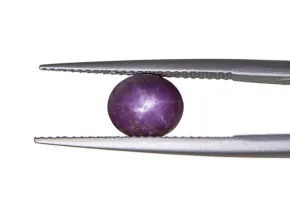 Sternrubin
