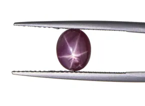 Sternrubin