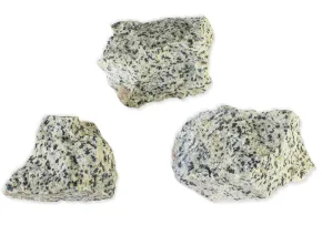 Dalmatiner Jaspis