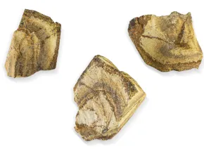Unbearbeiteter Landschaftsjaspis