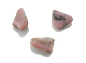 Rosa Opal