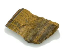 Tigerauge
