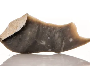 Schwarzer Feuerstein